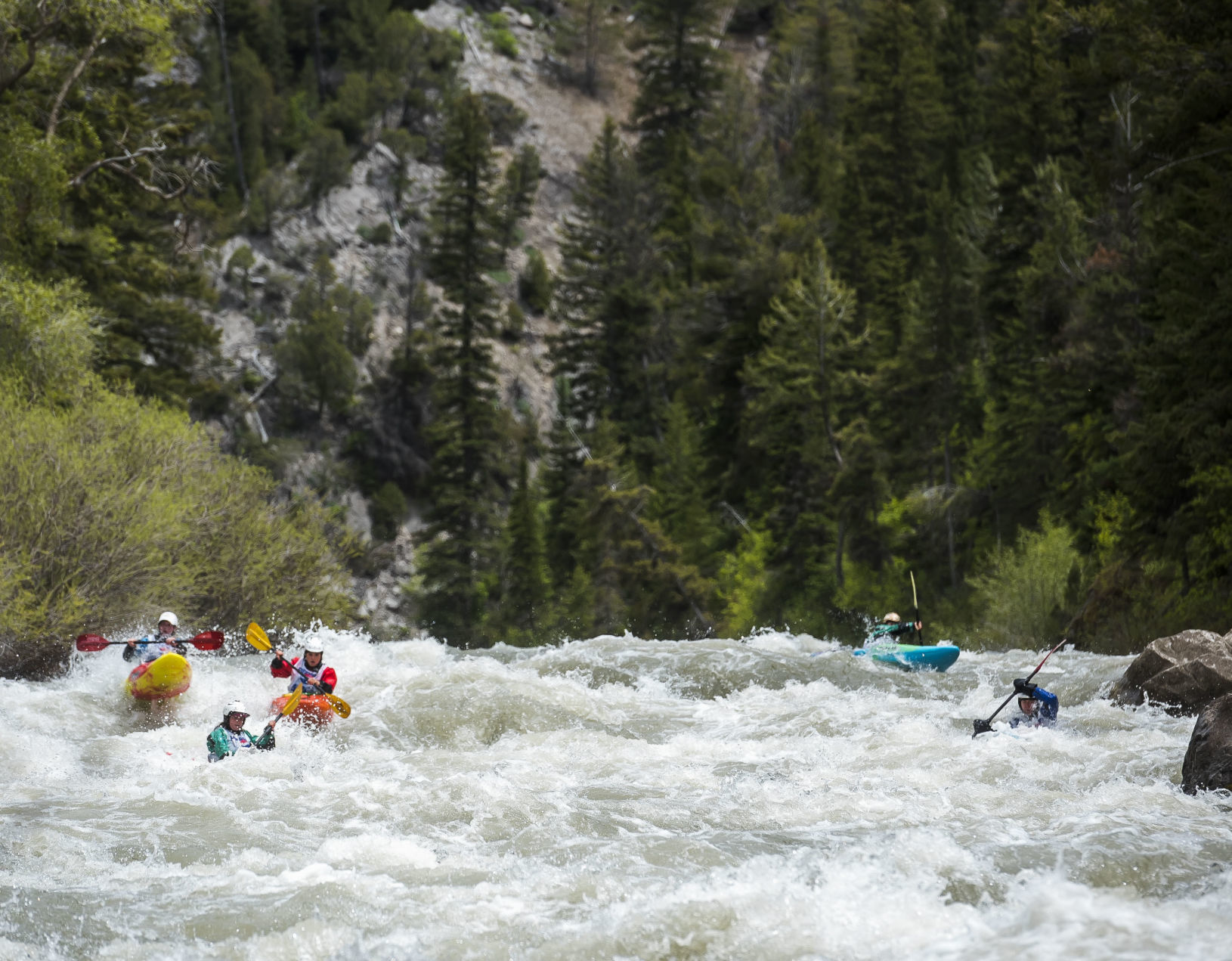 Wyoming Whitewater Champsionships